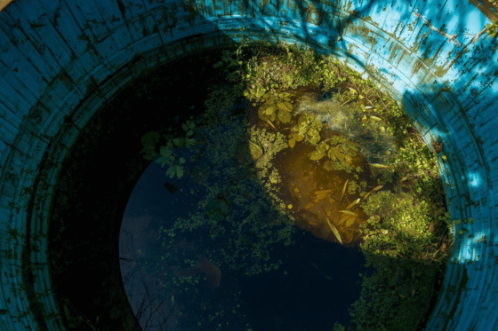 Limpeza de Caixa D'Agua Campinas